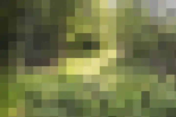 Achterste Erm 2 Erm thumbnail 79