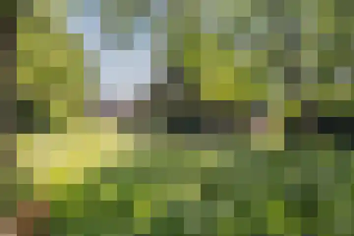 Achterste Erm 2 Erm thumbnail 80