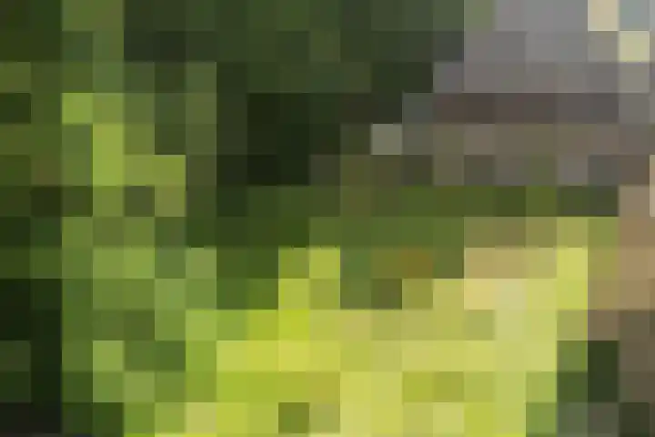Achterste Erm 2 Erm thumbnail 81