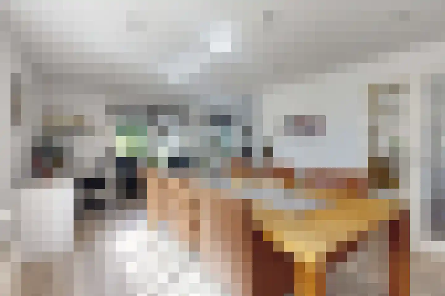 Achterste Havervelden 2 Breda thumbnail 10