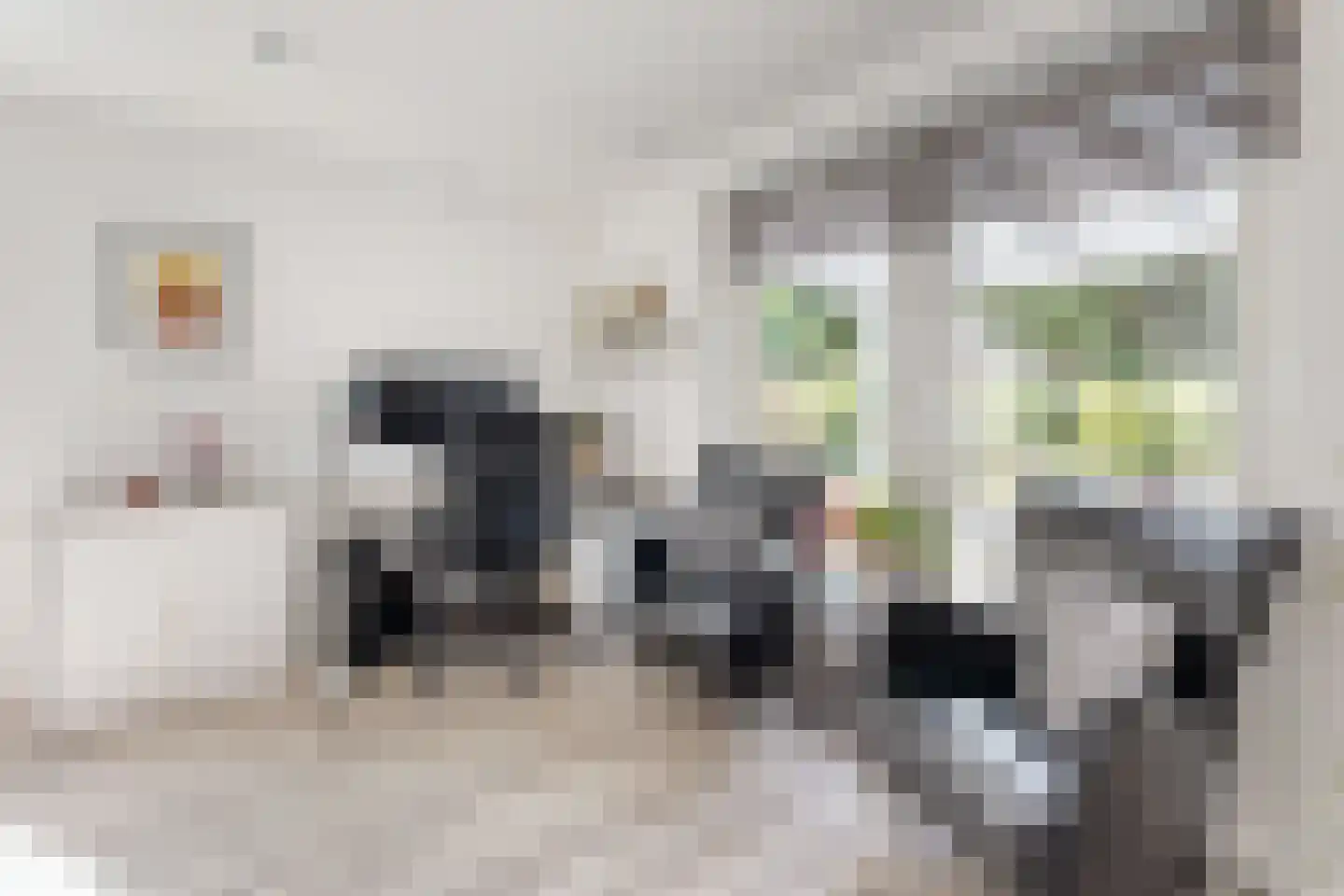 Achterste Havervelden 2 Breda thumbnail 12