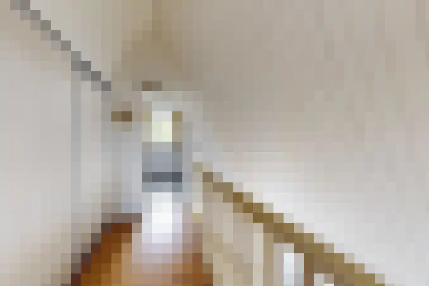 Achterste Havervelden 2 Breda thumbnail 26