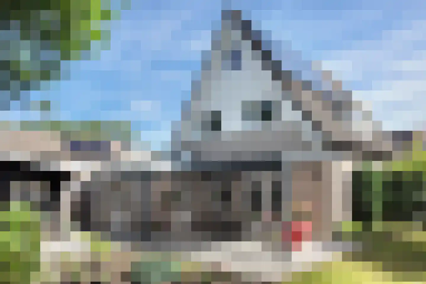Achterste Havervelden 2 Breda thumbnail 30