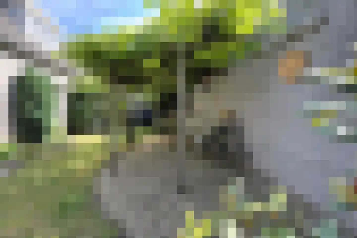 Achterste Havervelden 2 Breda thumbnail 32