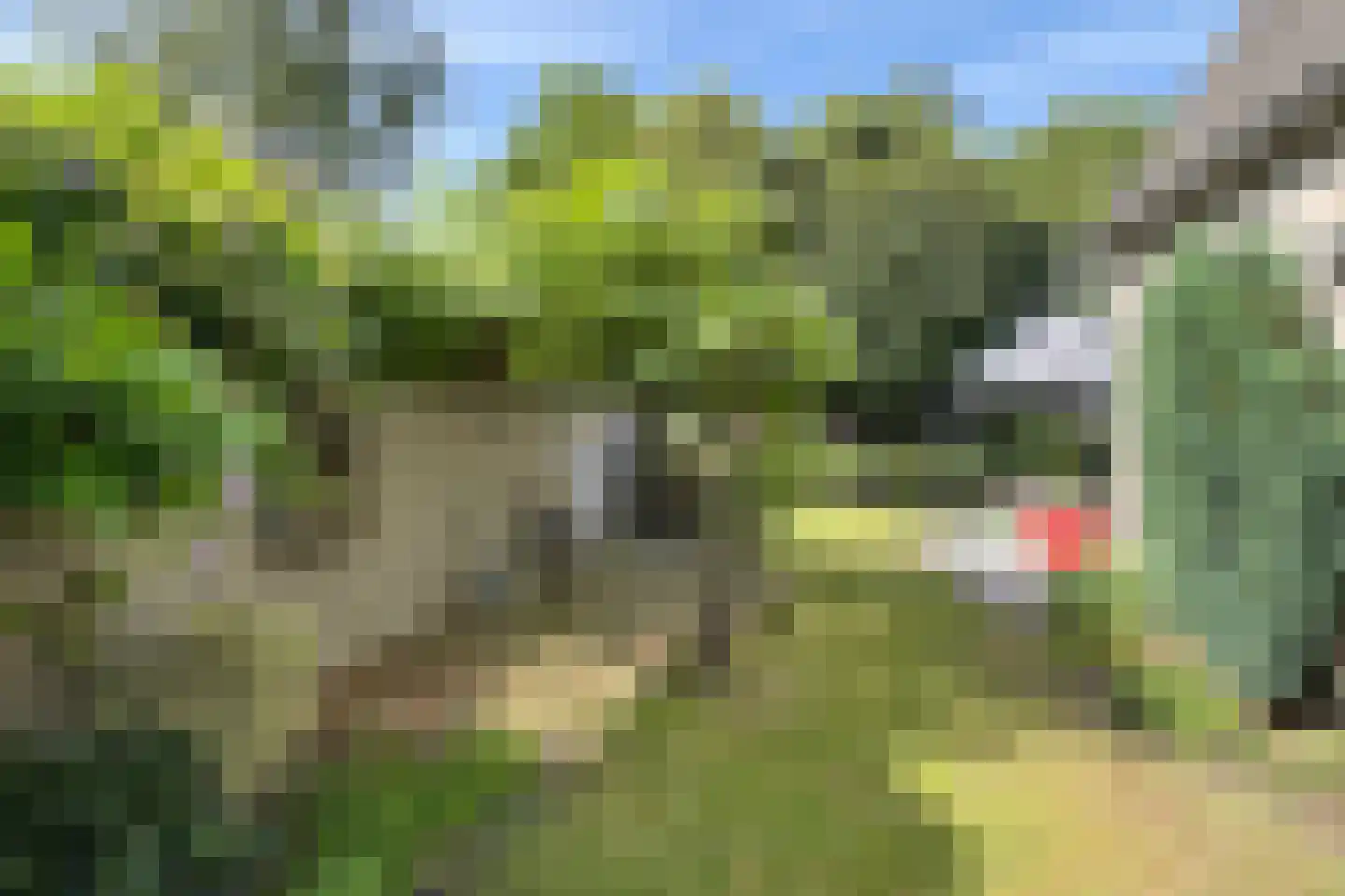 Achterste Havervelden 2 Breda thumbnail 33