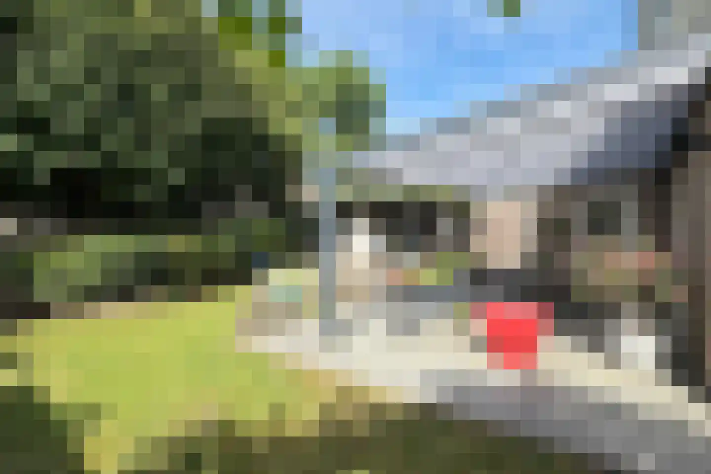 Achterste Havervelden 2 Breda thumbnail 34