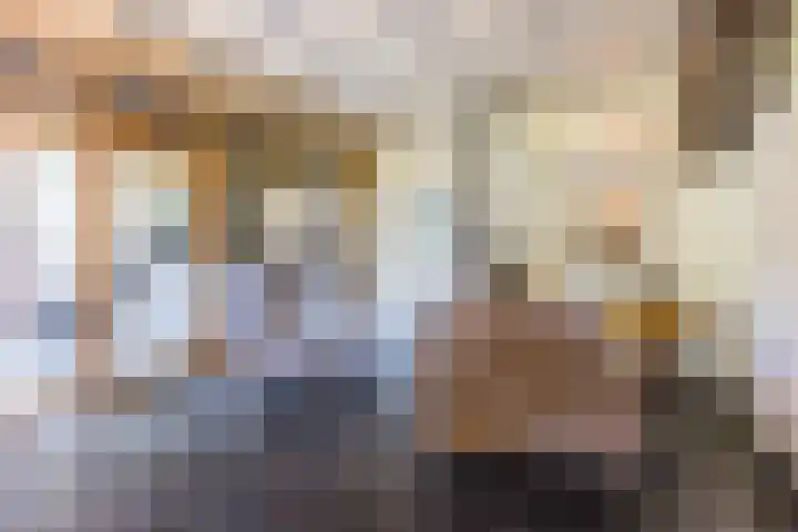 Achterste Hoeve 2 Kaatsheuvel thumbnail 12
