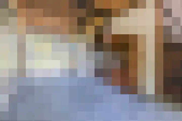 Achterste Hoeve 2 Kaatsheuvel thumbnail 17
