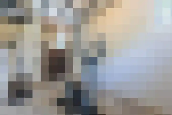 Achterste Hoeve 2 Kaatsheuvel thumbnail 19