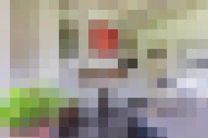 Achterste Hoeve 2 Kaatsheuvel thumbnail 24