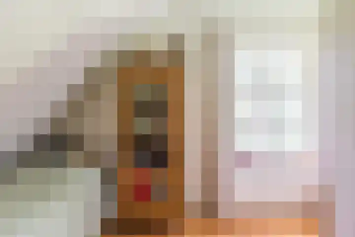 Achterste Hoeve 2 Kaatsheuvel thumbnail 28
