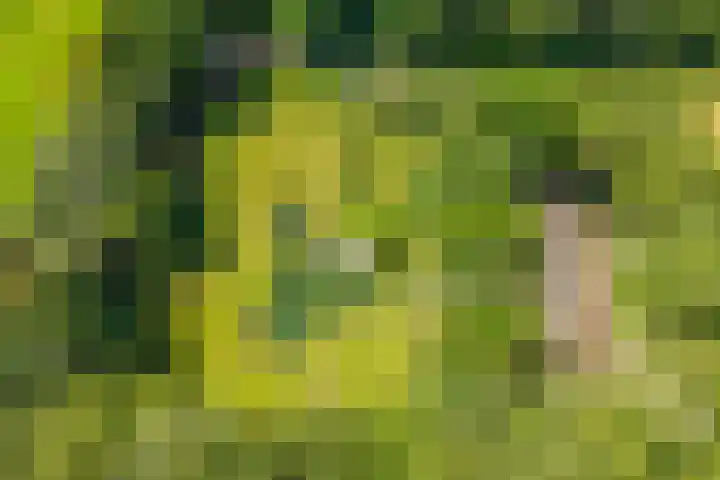 Achterste Hoeve 2 Kaatsheuvel thumbnail 30