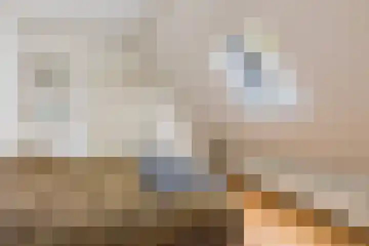 Achterste Hoeve 2 Kaatsheuvel thumbnail 32