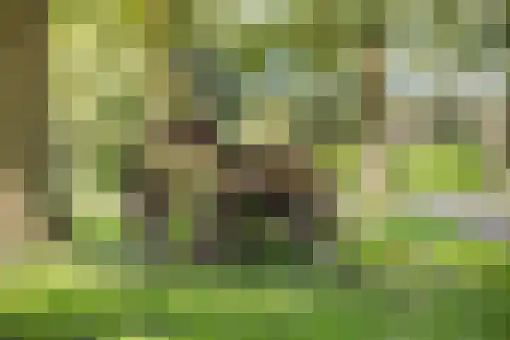 Achterste Hoeve 2 Kaatsheuvel thumbnail 34