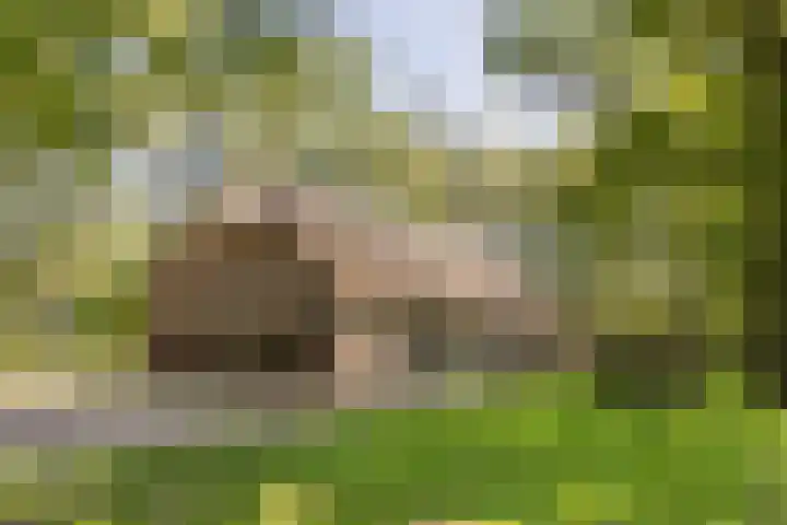 Achterste Hoeve 2 Kaatsheuvel thumbnail 35