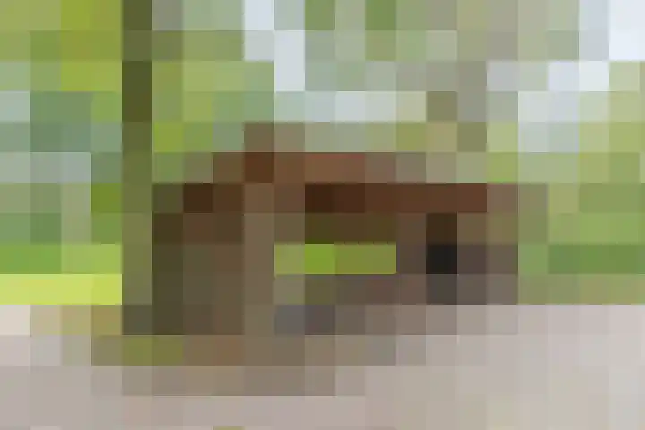 Achterste Hoeve 2 Kaatsheuvel thumbnail 36