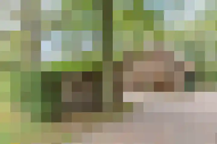 Achterste Hoeve 2 Kaatsheuvel thumbnail 37