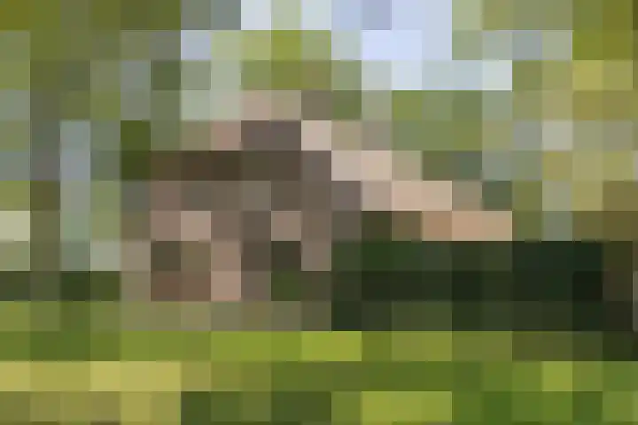 Achterste Hoeve 2 Kaatsheuvel thumbnail 38