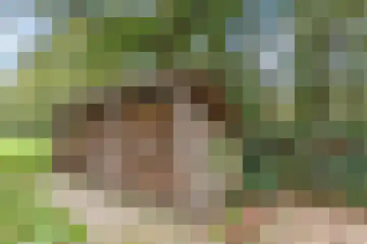 Achterste Hoeve 2 Kaatsheuvel thumbnail 39