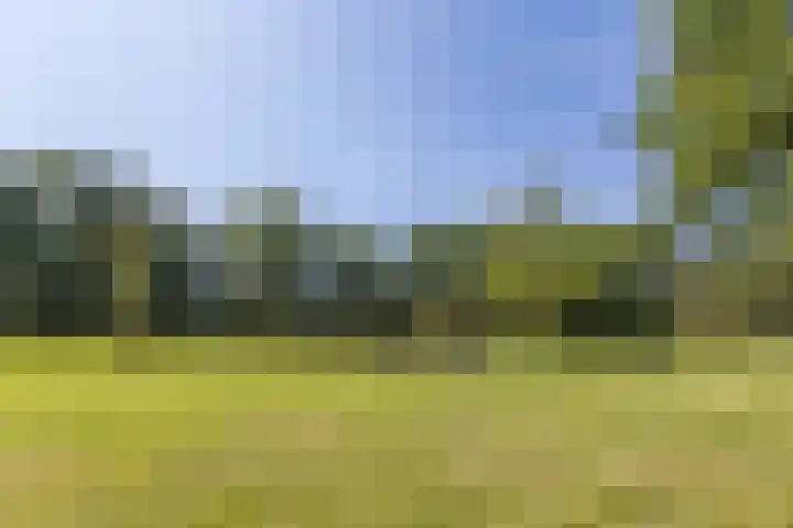 Achterste Hoeve 2 Kaatsheuvel thumbnail 40