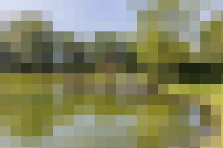 Achterste Hoeve 2 Kaatsheuvel thumbnail 41