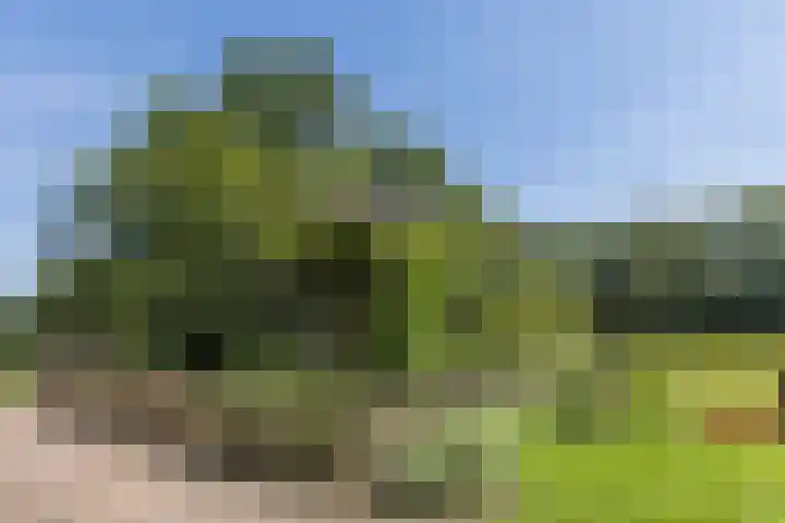 Achterste Hoeve 2 Kaatsheuvel thumbnail 42