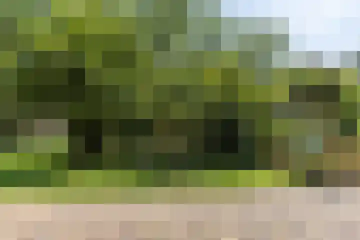 Achterste Hoeve 2 Kaatsheuvel thumbnail 43