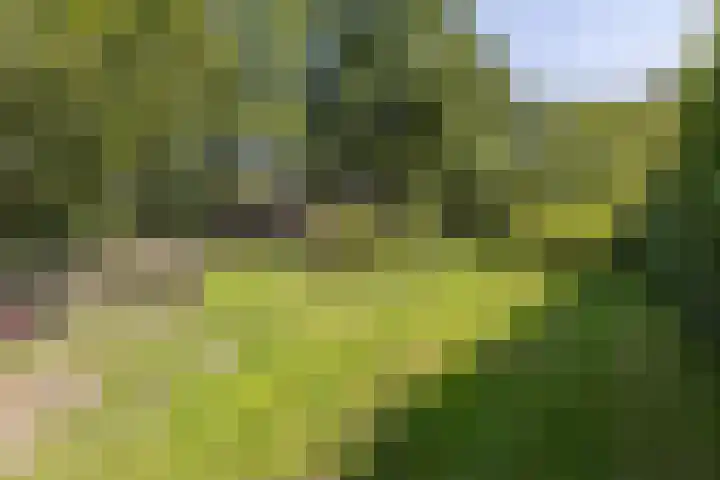 Achterste Hoeve 2 Kaatsheuvel thumbnail 44