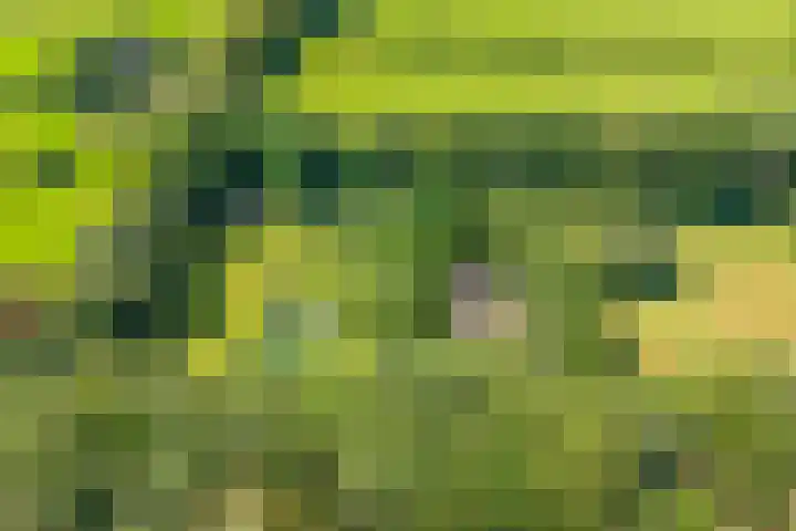 Achterste Hoeve 2 Kaatsheuvel thumbnail 45
