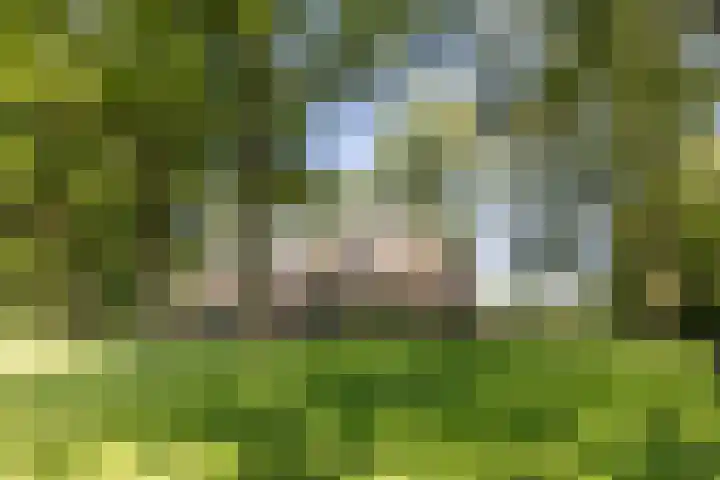 Achterste Hoeve 2 Kaatsheuvel thumbnail 49