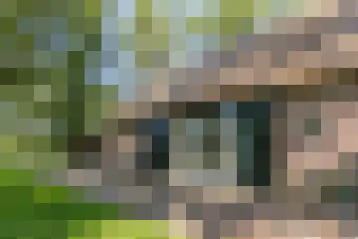 Achterste Hoeve 2 Kaatsheuvel thumbnail 6