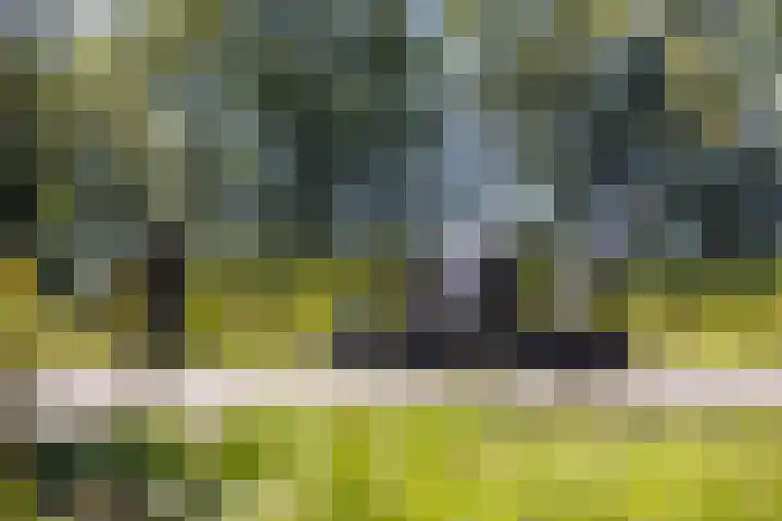 Achterste Hoeve 2 Kaatsheuvel thumbnail 7