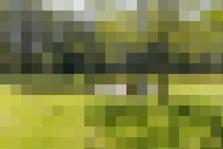 Achterste Hoeve 2 Kaatsheuvel thumbnail 8