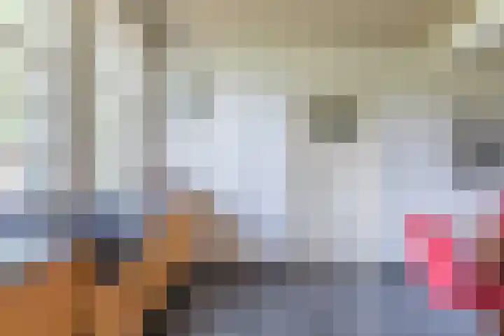 Achterste Hoeve 2 Kaatsheuvel thumbnail 9