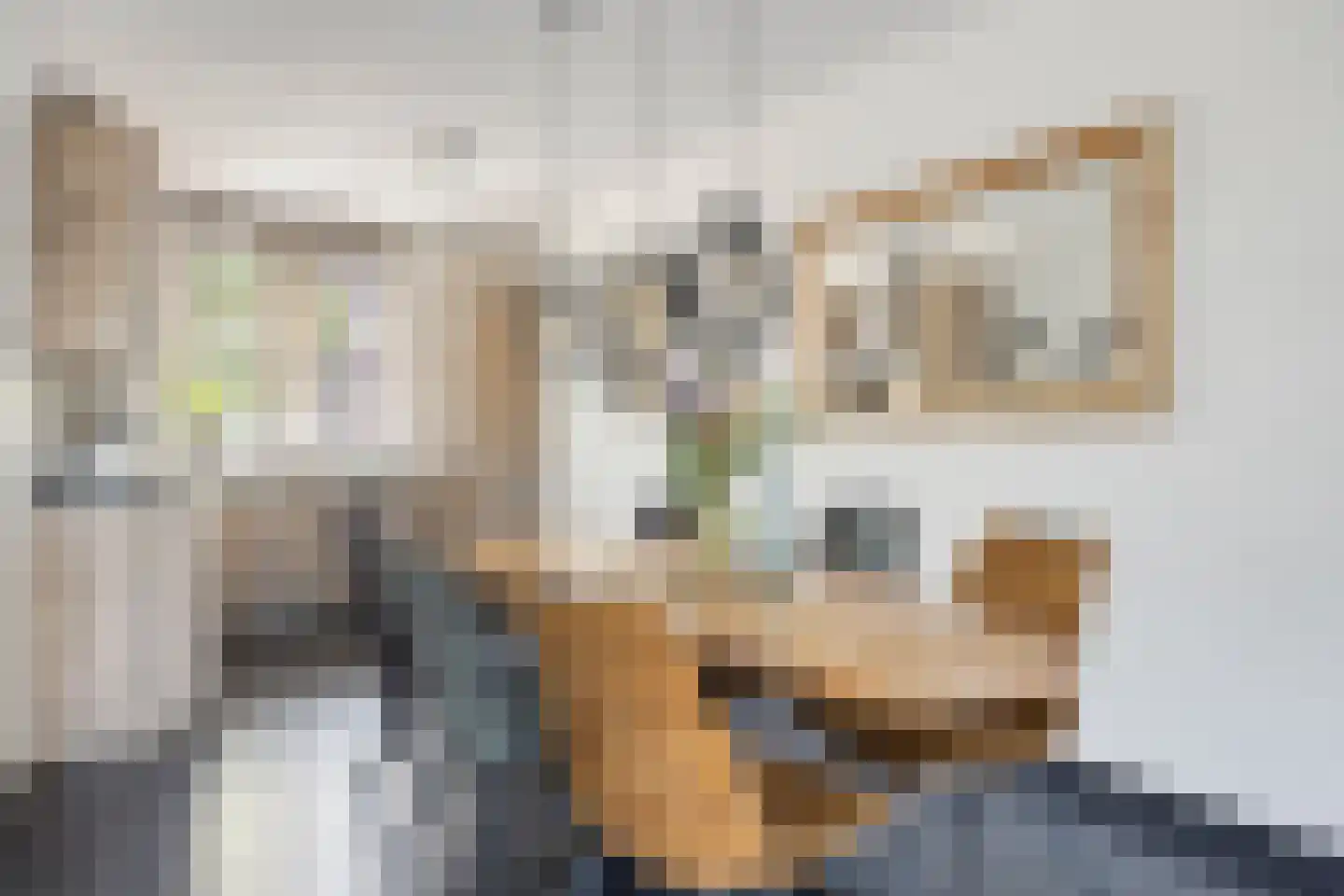 Achterste Kamp 15 Bunschoten-Spakenburg thumbnail 10