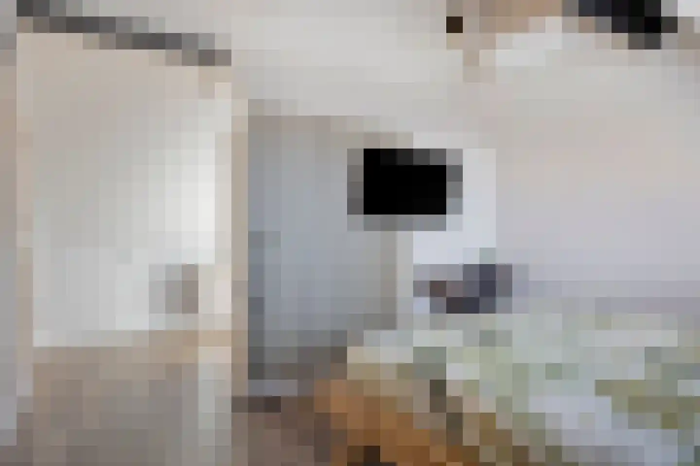 Achterste Kamp 15 Bunschoten-Spakenburg thumbnail 20