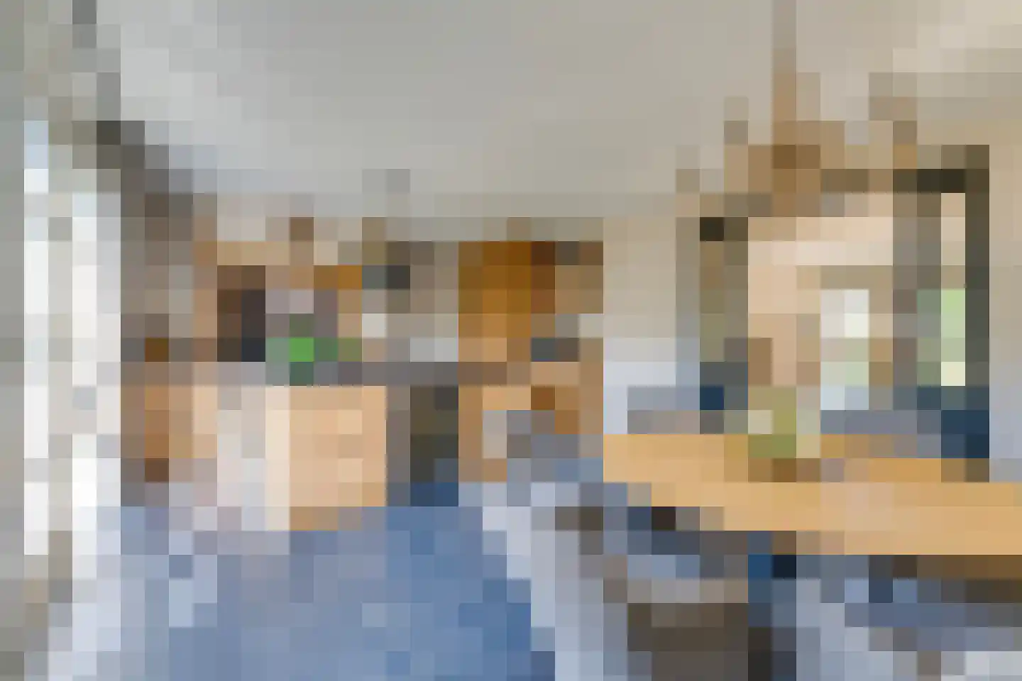 Achterste Kamp 46 Bunschoten-Spakenburg thumbnail 10