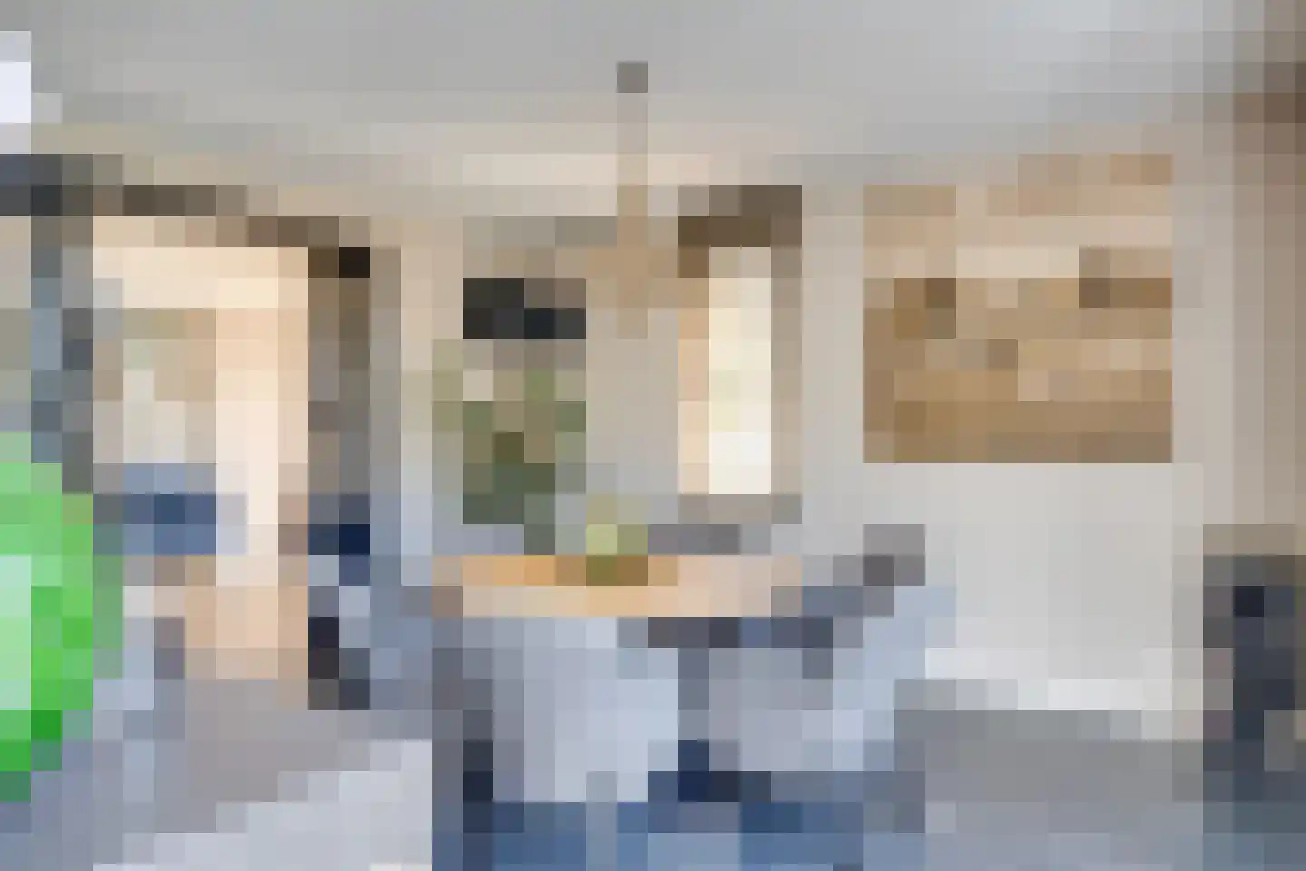 Achterste Kamp 46 Bunschoten-Spakenburg thumbnail 16