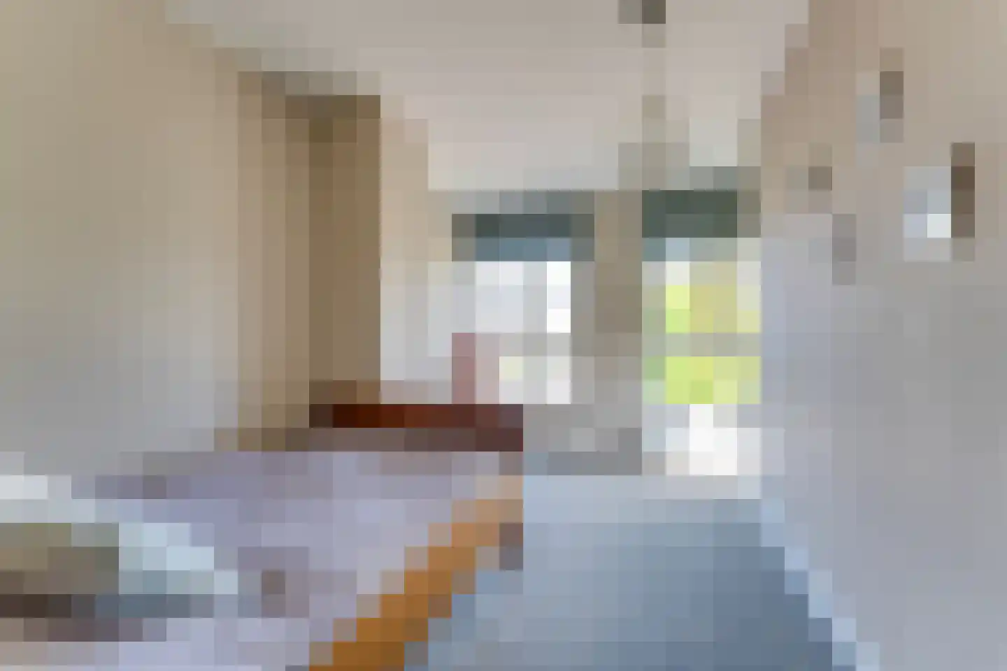 Achterste Kamp 46 Bunschoten-Spakenburg thumbnail 29