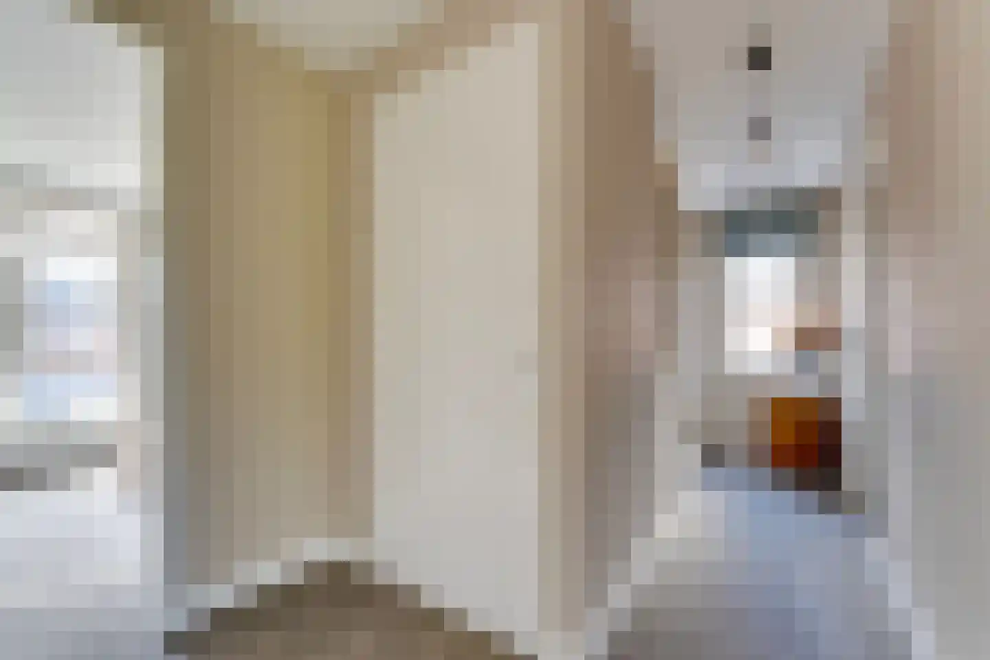 Achterste Kamp 46 Bunschoten-Spakenburg thumbnail 32