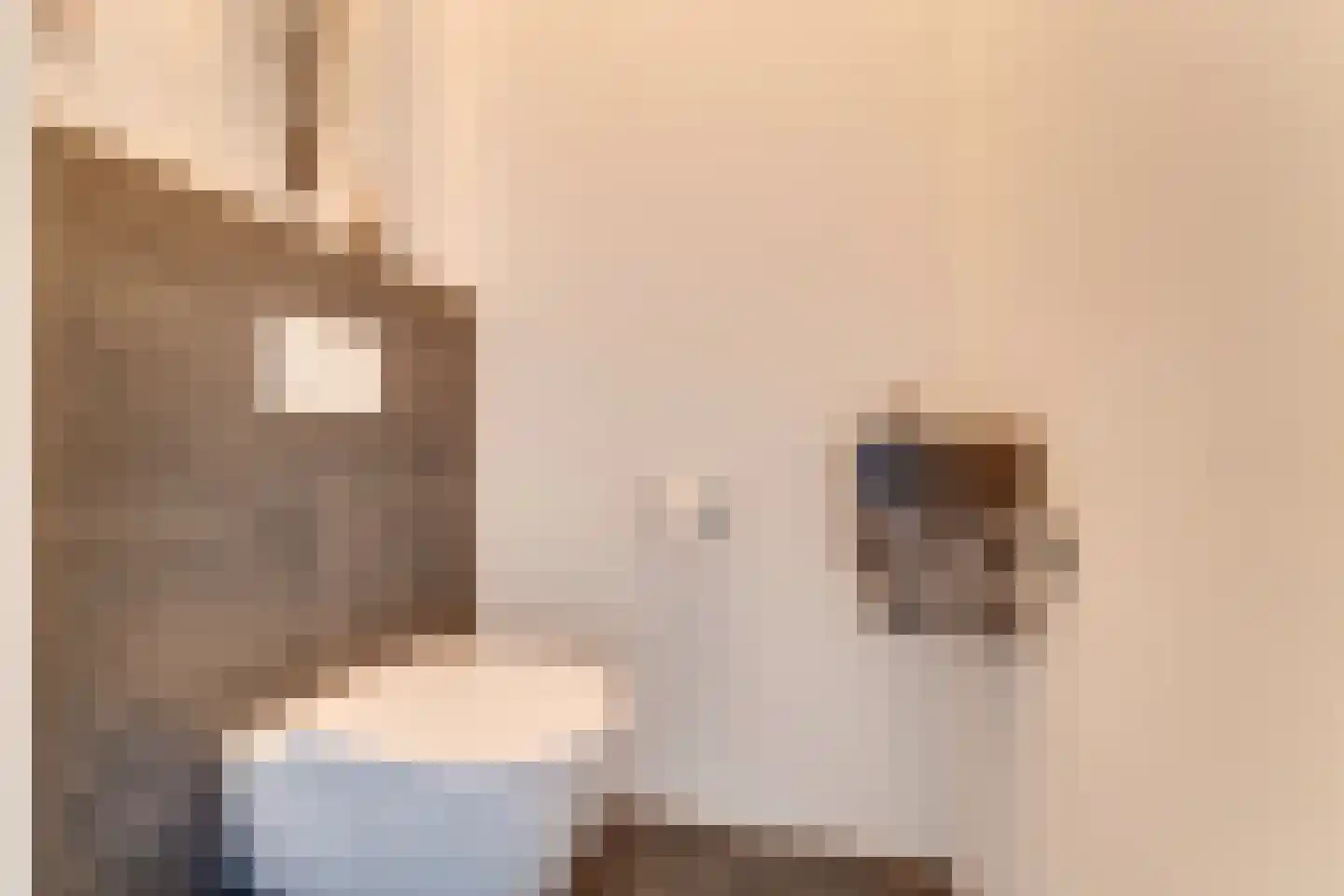 Achterste Kamp 46 Bunschoten-Spakenburg thumbnail 33