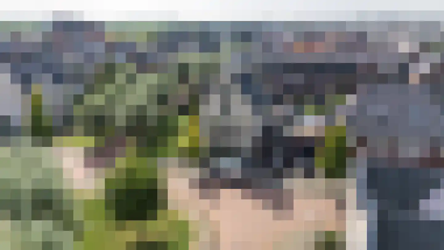 Achterste Kamp 46 Bunschoten-Spakenburg thumbnail 4