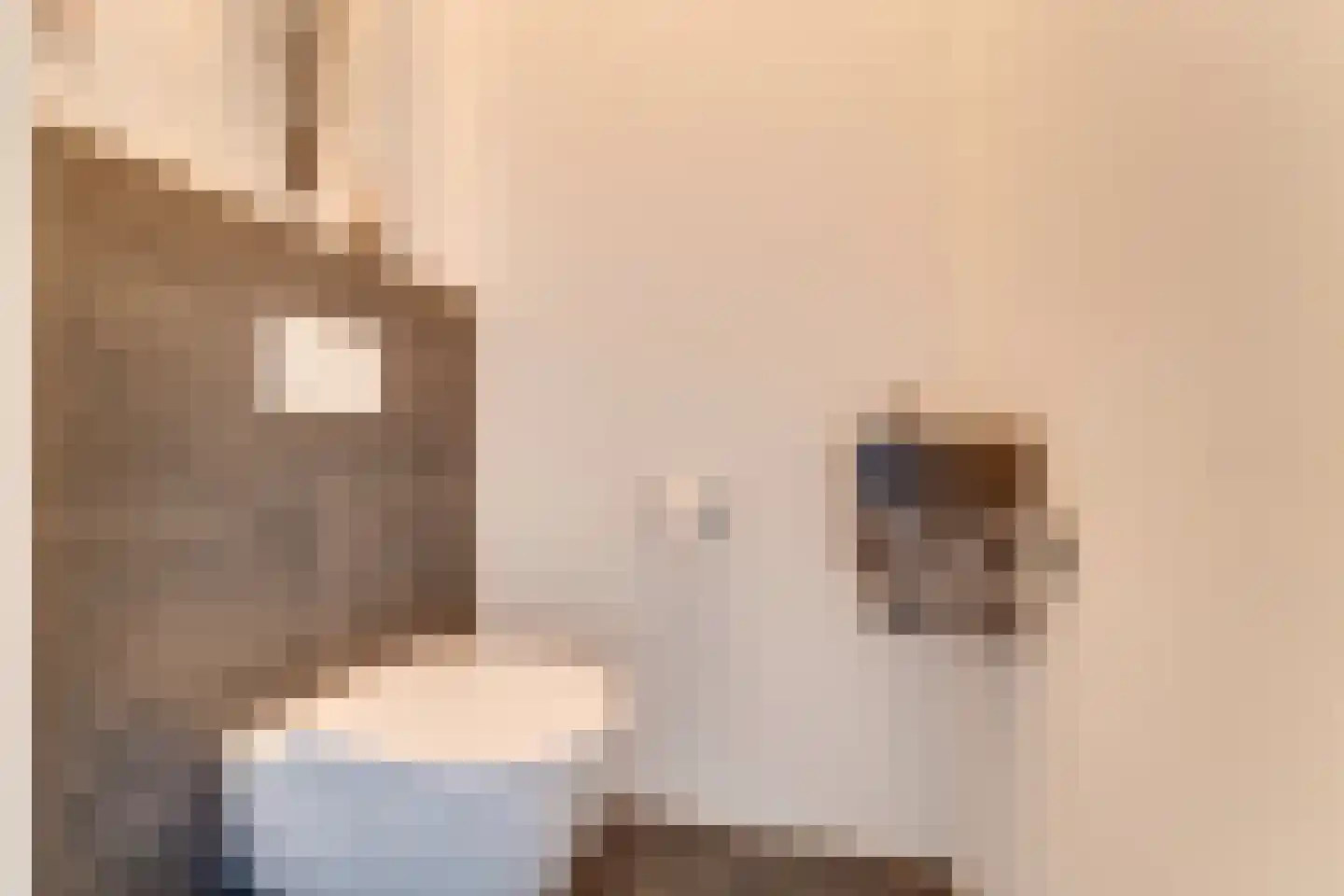 Achterste Kamp 46 Bunschoten-Spakenburg thumbnail 45