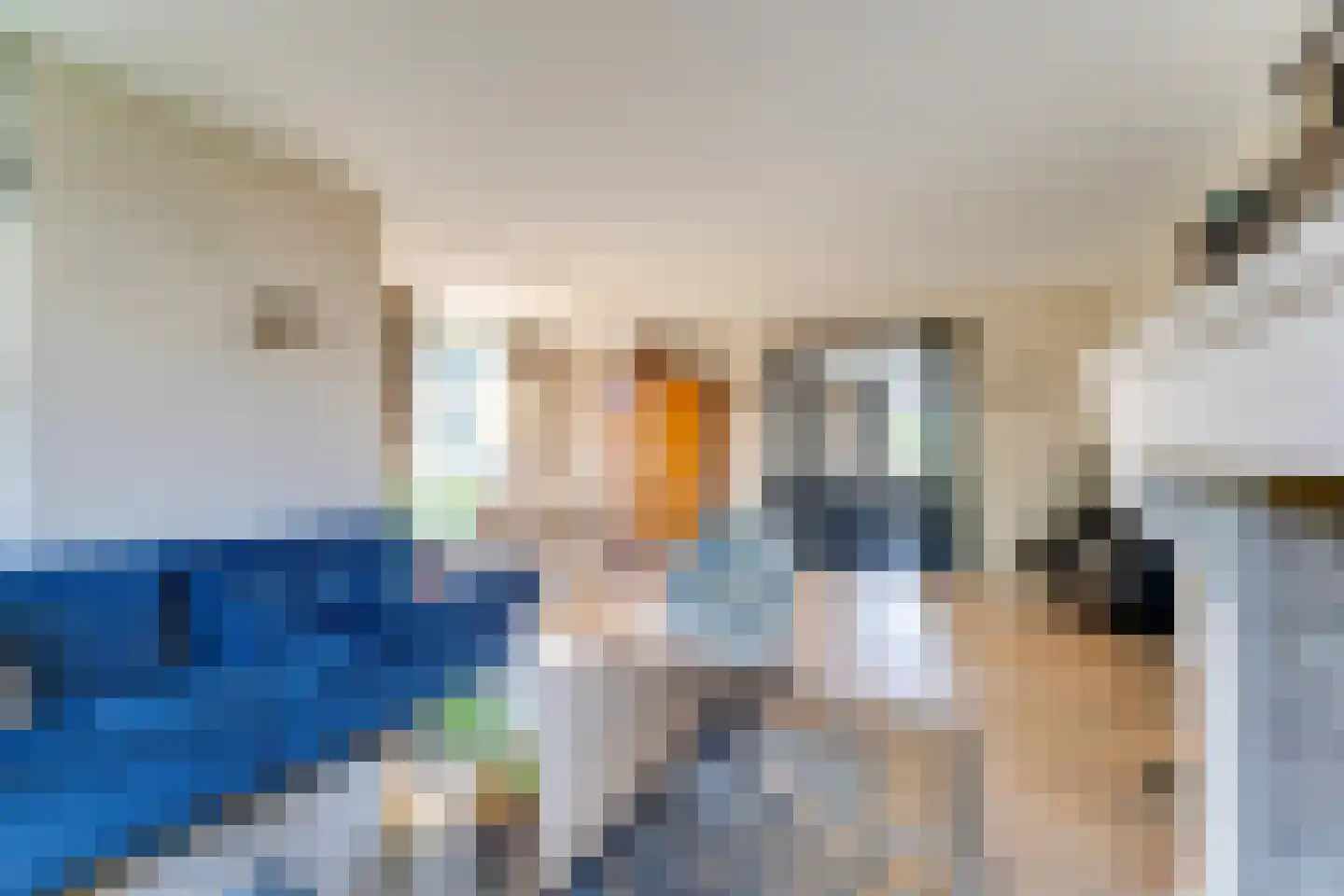Achterste Kamp 46 Bunschoten-Spakenburg thumbnail 5