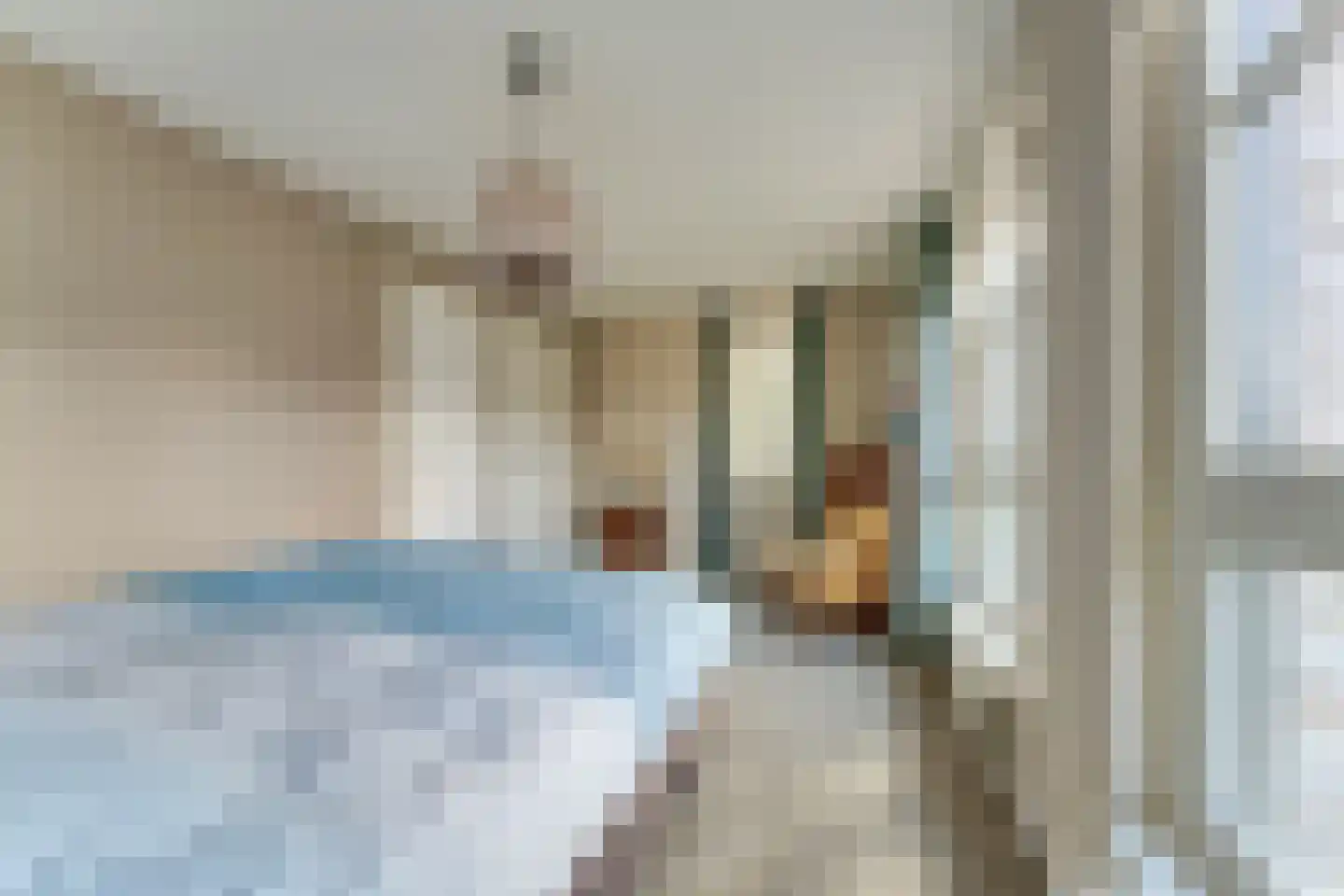 Achterste Kamp 46 Bunschoten-Spakenburg thumbnail 50