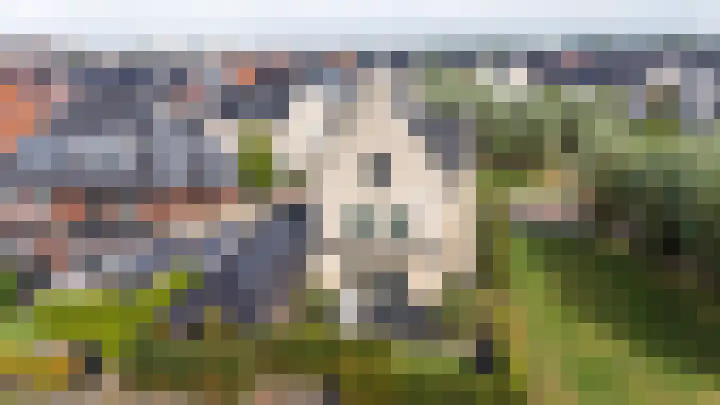 Achterste Kamp 46 Bunschoten-Spakenburg thumbnail 66