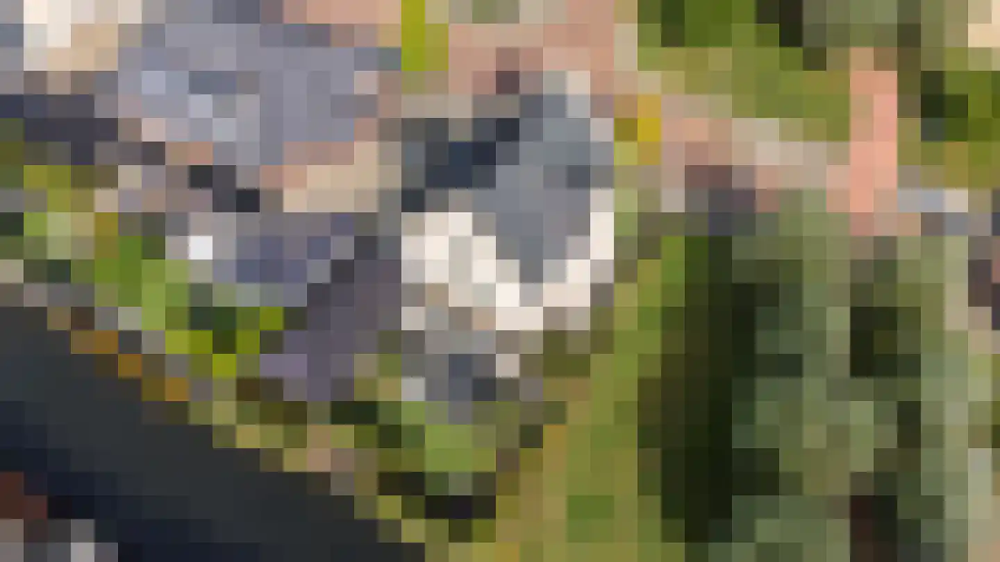 Achterste Kamp 46 Bunschoten-Spakenburg thumbnail 67
