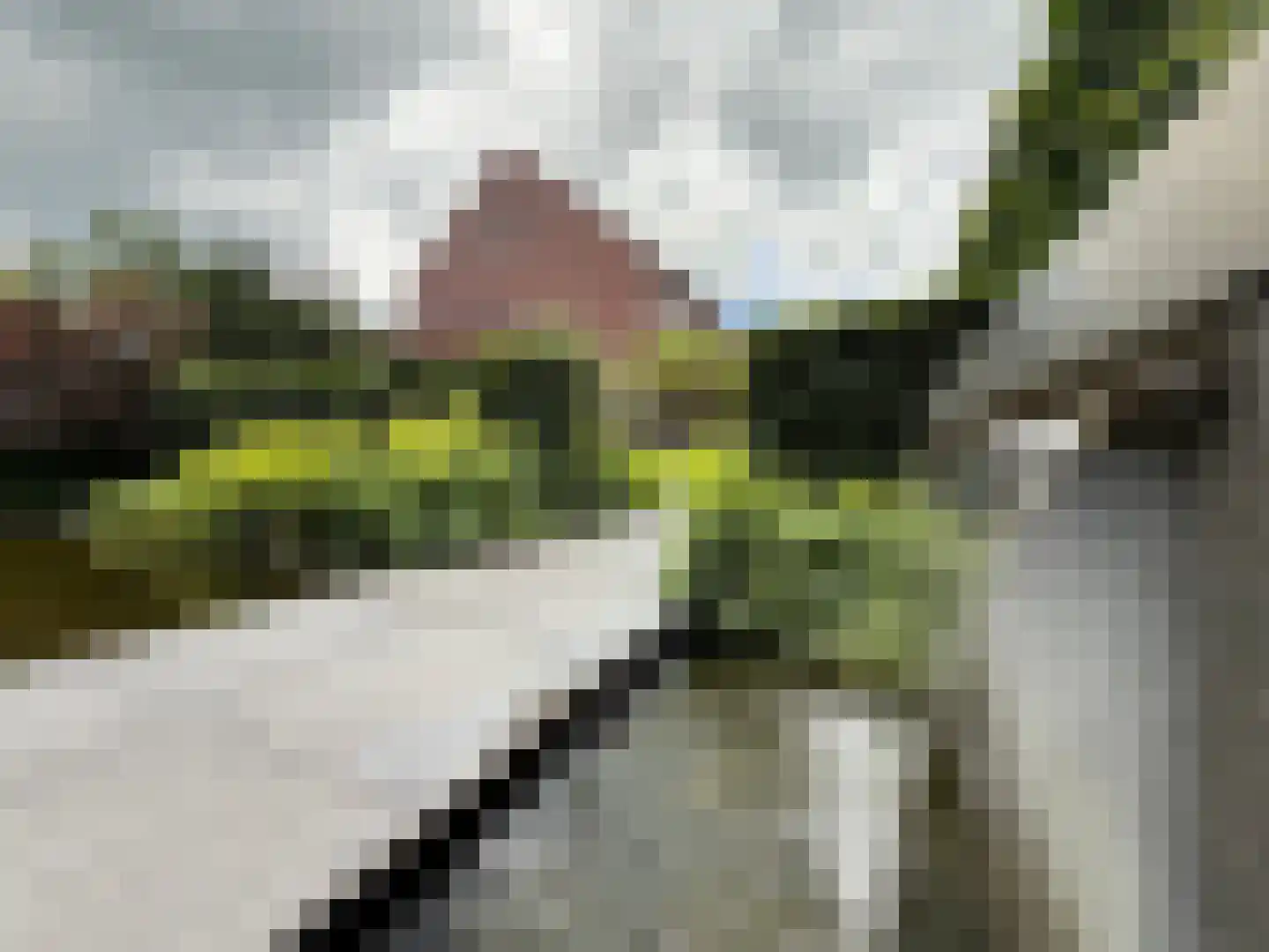 Achterste Kamp 55 Bunschoten-Spakenburg thumbnail 20