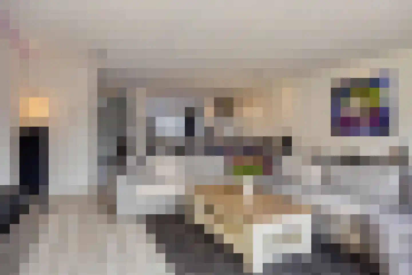 Achterste Kamp 55 Bunschoten-Spakenburg thumbnail 9