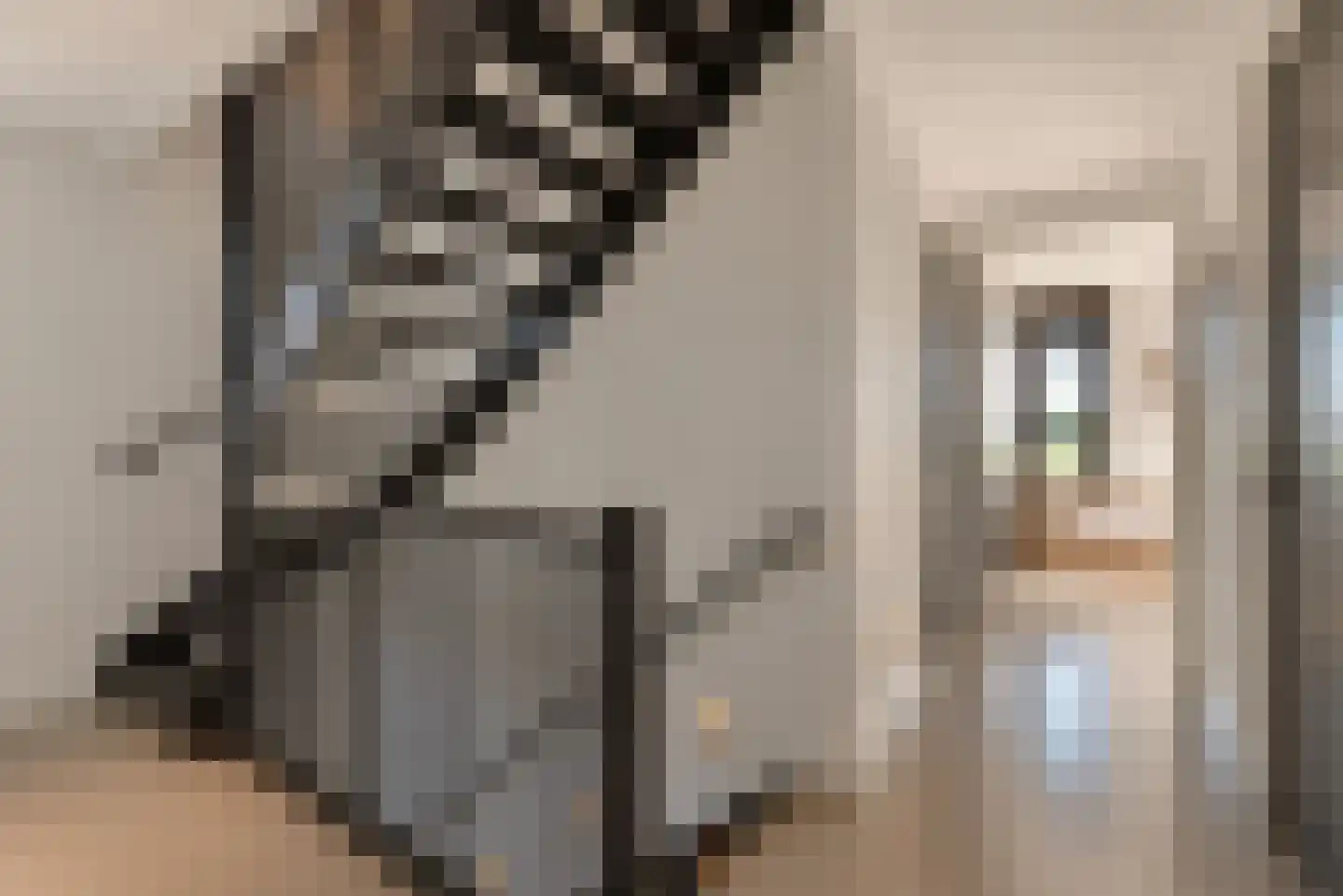 Achterste Kamp 74 Bunschoten-Spakenburg thumbnail 39